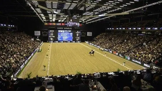Jyske Bank Boxen i Herning kommer ikke til at danne ramme om Dansk Varmblods Hingstekåring i 2021. Arrangementet aflyses grundet corona. Foto: Ridehesten.com