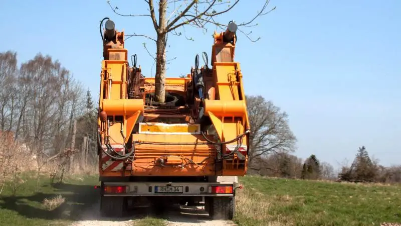 Træerne transporteres rundt på en specialbygget Tatra Phoenix-lastbil, der også bruges i andre udgaver til blandt andet storlandbrug og minedrift.