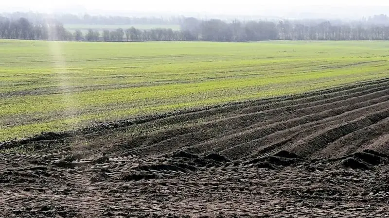 På Gislumgaard blev havremarken til venstre sået skærtorsdag. – Vi havde fint vejr hele påsken og fik gjort en masse i marken, fortæller Jens Erik Jensen. I forgrunden kartofler, der blev lagt for en uge siden. Foto: Jens Erik Jensen