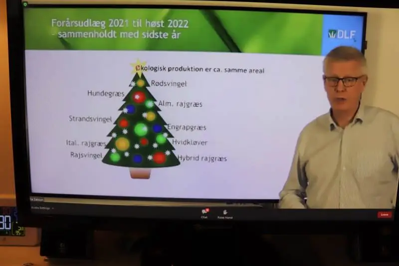 - På de øverste grene hænger de frøarter, der skal udlægges større arealer med i kommende sæson. Og omvendt nederst, forklarede avlsdirektør Anders Mondrup - lidt aktuelt med et juletræ.