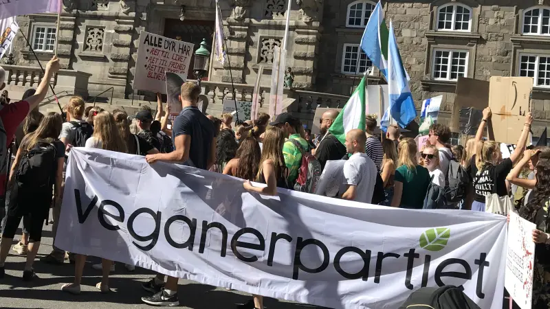 Partileder i Veganerpartiet, Henrik Vindfeld, føler sig overvåget af Landbrug & Fødevarer. Foto: Lars Corvinius Olesen