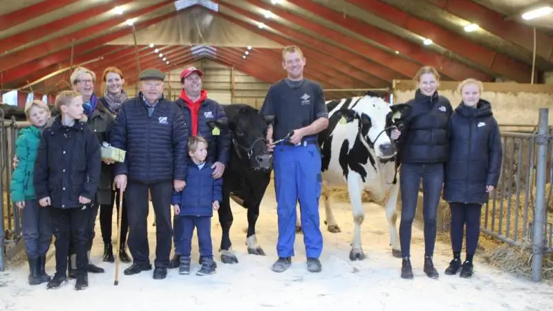 Med to køer i besætningen, der har leveret over 10.000 kg værdistof hver, har familien Nørgaard rundet en milepæl. Foto: Christian Carus