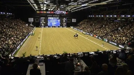 Jyske Bank Boxen i Herning kommer ikke til at danne ramme om Dansk Varmblods Hingstekåring i 2021. Arrangementet aflyses grundet corona. Foto: Ridehesten.com
