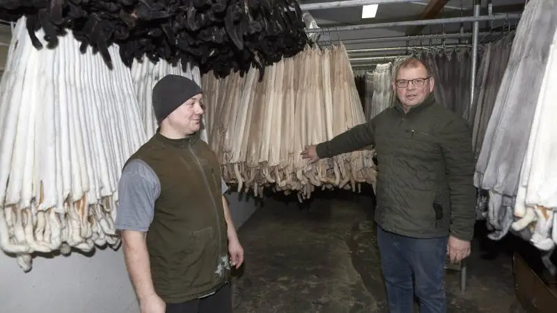 Efter pelsningen af farmens samtlige 36.500 mink håber Jesper og Jens-Arne Kristiansen på en udvidelse af deres interessentskabs tilhørende markareal, måske med en svineproduktion. Fotos: Erik Hansen