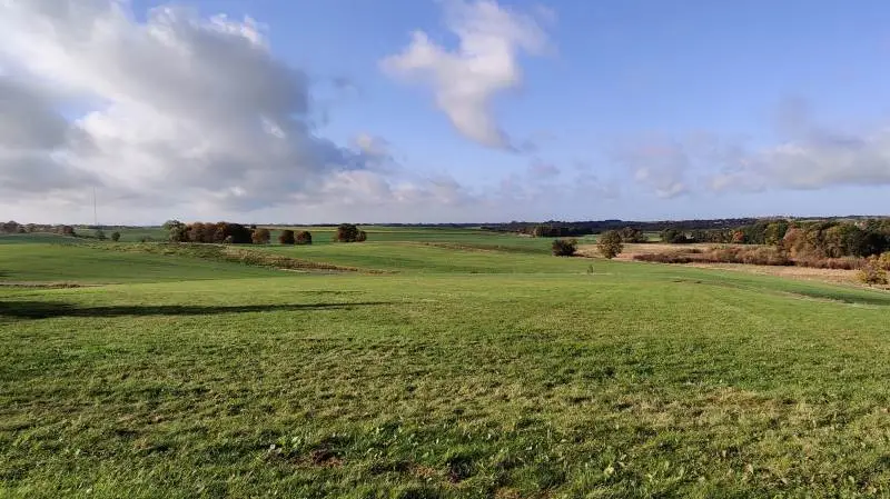 I november og december var det minkskandalen der fyldte hele nyhedsbilledet.