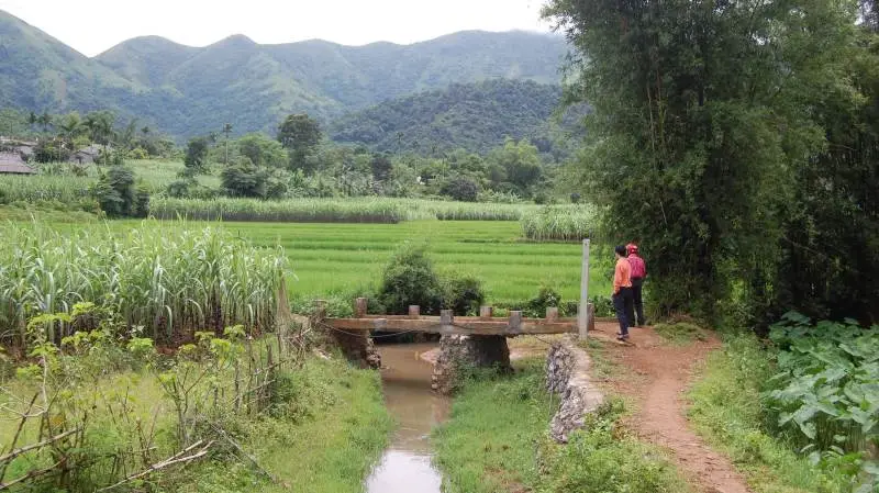 Der er utrolig smukt og frodigt i Vietnam og Cambodia. Men dyrkningen er ud fra traditioner og landbefolkningen mangler ofte grundlæggende viden om landbrugsdrift. Fotos: ADDA