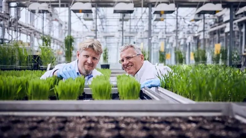 BASF beskæftiger mere end 117.000 ansatte på tværs af koncernen og opererer i næsten alle sektorer og næsten alle lande i verden. | Foto: BASF.