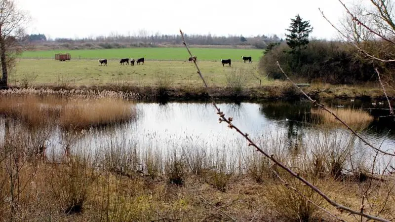 Forbuddet mod at gødske og sprøjte §3-arealer skal ifølge S og SF indføres for at forbedre naturen og dermed de levesteder, som er nødvendige for en lang række arter. Arkivfoto