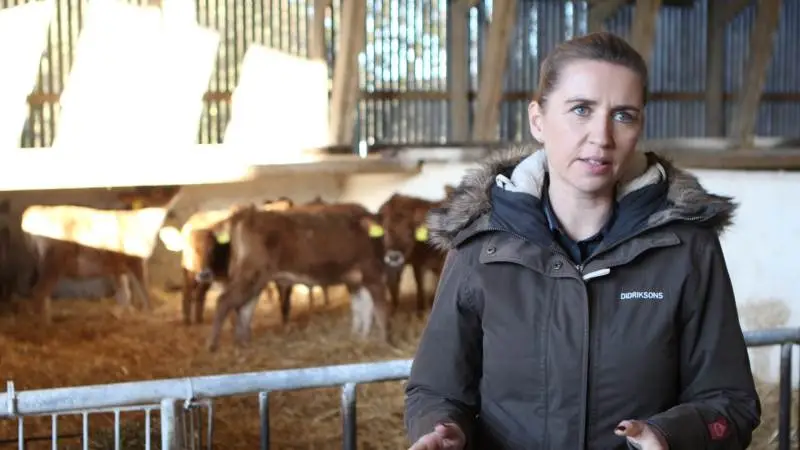 Mette Frederiksens håndtering af minksagen har været under al kritik, mener Bente Dahl Pedersen. Hendes borgerforslag om en rigsretssag er tæt på at få nok underskrifter til at skulle tages op af Folketinget. Foto: Christian Carus