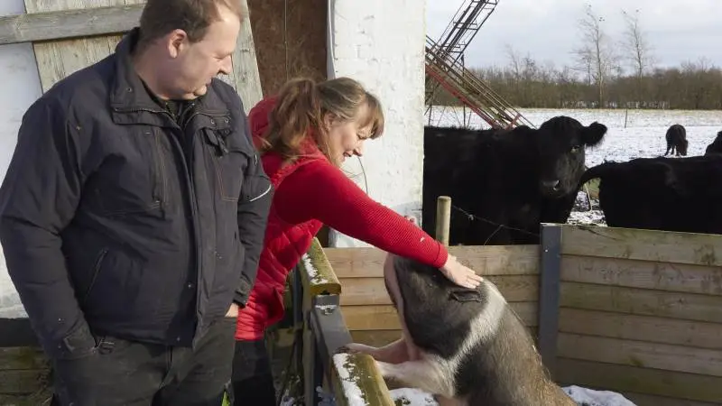 Jane og Henrik Thomsen elsker livet med bondegårdsferie. De nyder at kunne dele de glæder de selv har ved livet på landet, med andre.