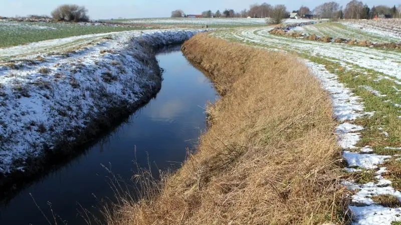 Det er her i åen, at landmænd i Holbæk Ålav er utilfredse med, at der efter oprensning er blevet placeret store sten på bunden.
