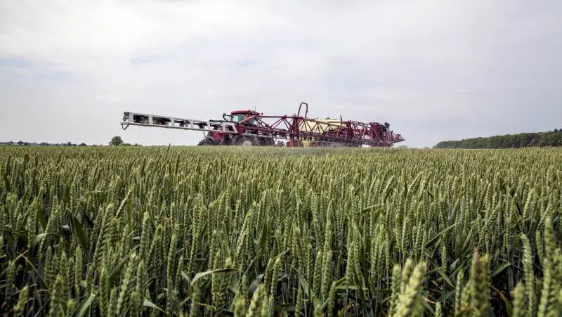 Syngenta vurderer, at ved tre sprøjtninger mod svampesygdomme i vinterhvede gennem sæsonen er det en god idé at anvende Greteg Star med en halv liter pr. hektar i den afsluttende aksbeskyttelse.
