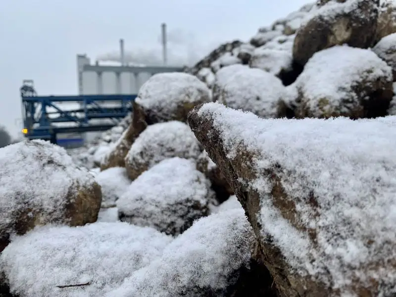 - Vi har været heldige med vejret. De yderste roer i kulerne, som har været frosne, er ikke tøet op igen, oplyser Bo JM Secher. Foto: Nordic Sugar