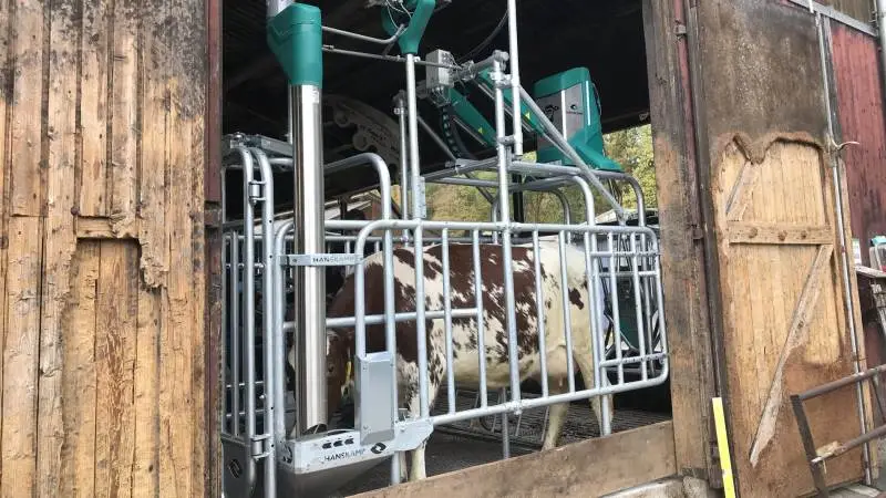 CowToilet fra Hanskamp opsamler urinen, før den rammer gulvet.