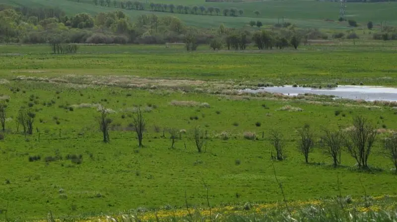 Foto: Djursland Landboforening