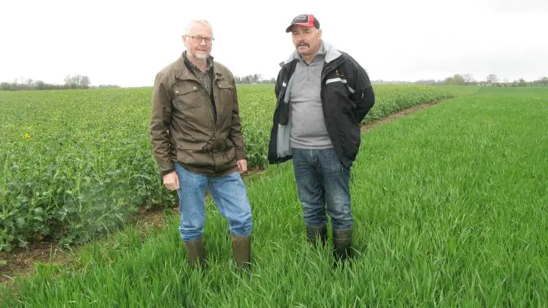 - Der er sket en markant udvikling med seksradet vinterbyg over de senere år, og KWS Meridian er en sort, der leverer store, flotte kerner, siger agronom Jens Lund (tv), der her ses sammen med Johan Finnemann Schultz i en meget ensartet vinterbygmark.