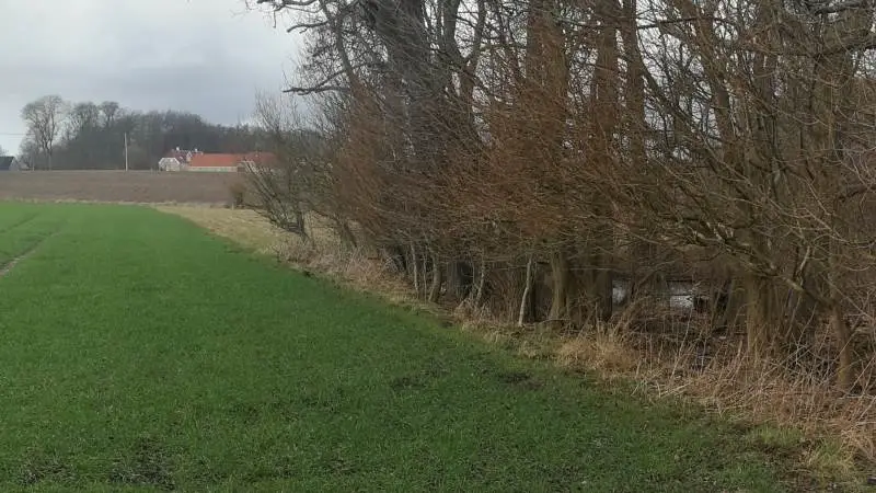 Er man ikke opmærksom, risikerer man, at dyrket jord et par meter ud langs kanten af for eksempel en skov står registreret som §3-beskyttet hos myndighederne.