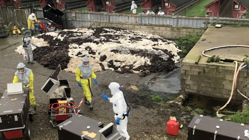 Mange af de flere milioner mink, der blev aflivet i november sidste år, endte i to store minkgrave. Nu skal de fjernes igen, og regeningen kan blive noget nær det dobbelte af, hvad der oprindeligt var lagt op til. Foto: Brian Langballe Kristiansen