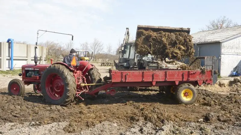 Medlemmer af Motor og Veterantraktor Klubben Fyn kørte møg ud to lørdage i april i det flotteste forårsvejr. Ved arrangementet hos Jesper Damgård Jensen i Rudme får Aksel Østerlund med sin Volvo BM 600 Boxer og Tim 3,5 tons combivogn et læs med to skovlfulde fra Kurt Sindahls Hydrema knækstyrede rendegraver. Foto: Erik Hansen