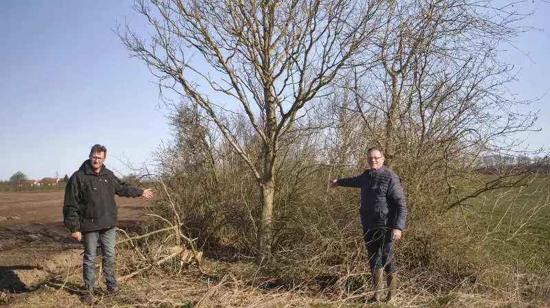 Mælkeproducent Niels Erik Maegaard (tv) viser her folketingsmedlem Erling Bonnesen et nyt hegn, som er etableret på bar mark i 2001. Det brede hegn har med naturens egen kraft skabt en digeformation, som er 20-30 cm over markniveauet.