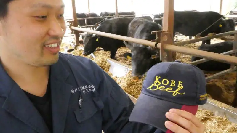 Takeshi Yamada er daglig driftsleder på en af de største wagyu-kødkvægs farme i Japan. – Knap halvdelen af vores leverede slagtedyr opnår betegnelsen Kobe-beef for bedste kvalitet, fortæller han. Fotos: Jørgen P. Jensen