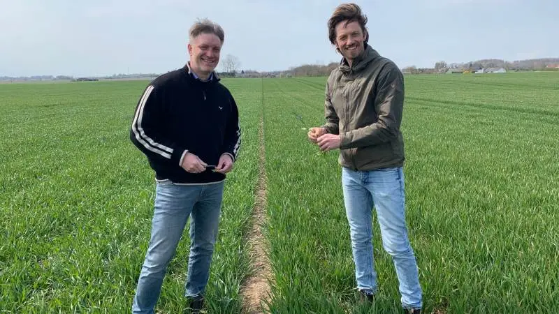 Med sortsbladninger i hvede tager vi en form for helgardering, siger Jens Martin Bramsen (th.), der her ses sammen med Torben Føns, faglig konsulent i Hedegaard.