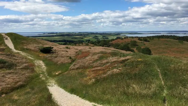 Deltidsudvalget i Djursland Landboforening inviterer til vandretur i Mols Bjerge den 6. juni. Foto: Djursland Landboforening