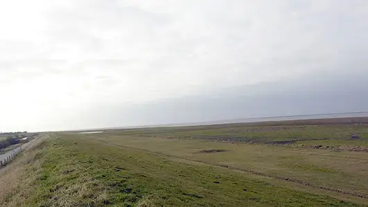 Den danske del af vadehavet er ca. 1240 kvadratkilometer og strækker sig fra grænsen op til Blåvandshuk. (Arkivfoto)
