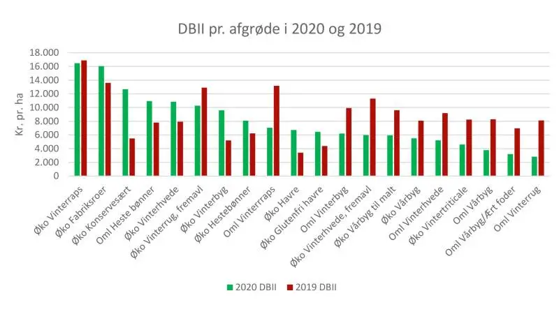 Figuren viser gennemsnitligt DBII i forskellige afgrøder opnået på de deltagende planteavlsbedrifter i 2019 og 2020. Kilde: Økologisk VKST, 2021
