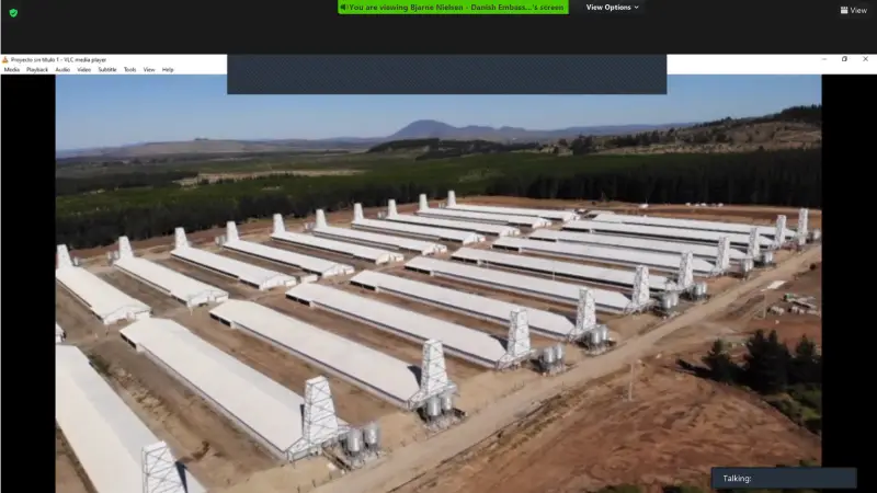 Med 24 nye og topmoderne svinestalde er den seneste af foreløbig fem svinefarme i produktionsselskabet Agricola Coexca i Chile taget i brug. De 14 meter høje ventilationsskorstene ved gavlene er for at forebygge lugtgener og emission til omkringboende. Fotos: Agricola Coexca