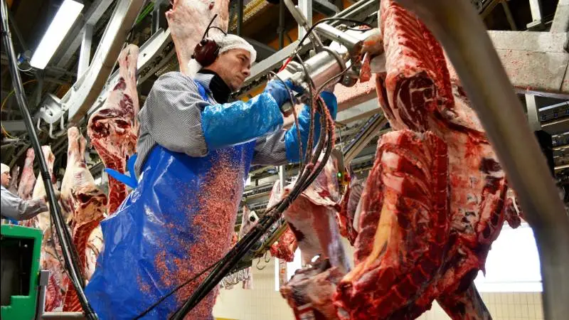 - Hele markedet mangler køer til slagtning, siger Henning Sønnichsen, der er salgsdirektør i Danish Crown Beef.