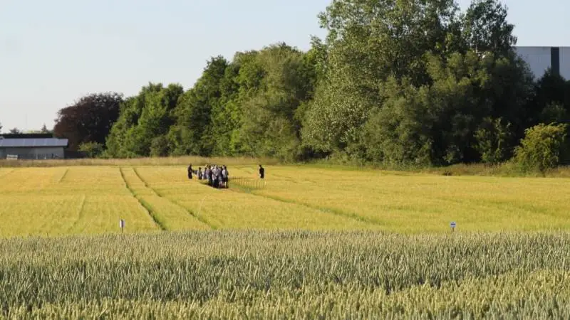 Arrangement: Markvandringer igen en mulighed