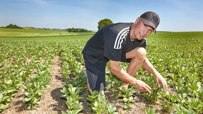 Riber Hog Anthonsen, Ommestrupgaard ved Mørke, er tirsdag 22. juni kl. 13-17 vært for arrangementet ”Klima og biodiversitet uden plov”. Han har 21 års erfaring i at dyrke pløjefrit og har de seneste seks år dyrket efter principperne i Conservation Agriculture.