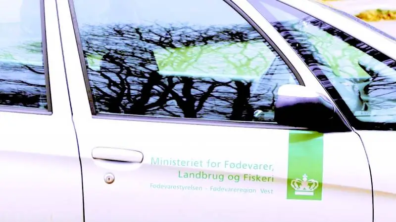Fødevarestyrelsen vil gerne i kontakt med mennesker, der har købt fjerkræ fra en besætning ved Skive. Arkivfoto
