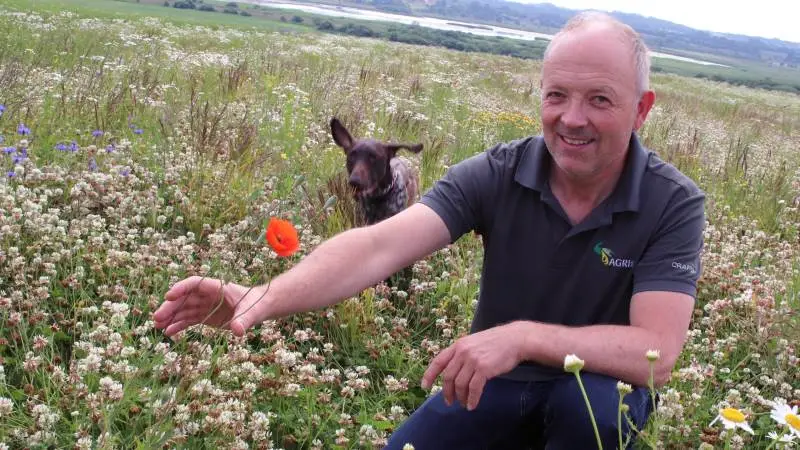 Griseproducent Lars Olsen dyrker både biodiversitet og landbrug på sin ejendom i Halkær ved Nibe. Her er han i kløvermarken, der fungerer som gødning til næste afgrøde, og som skaber biodiversitet med sine mange blomster.