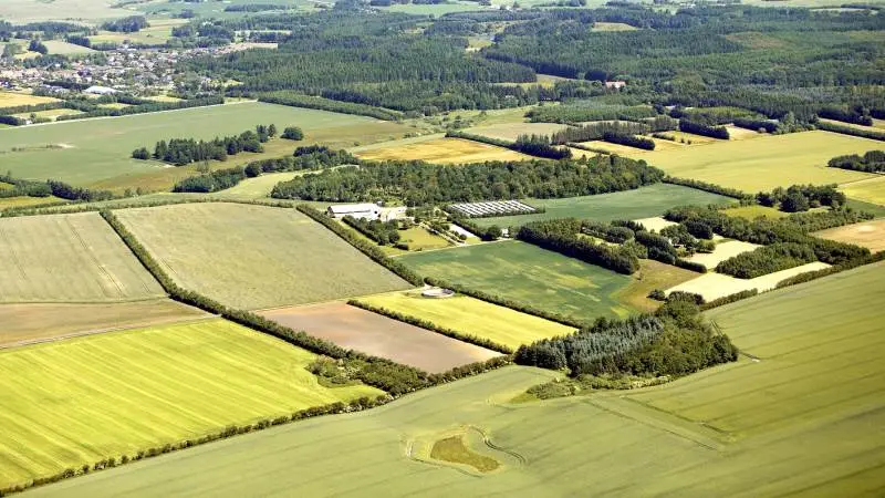 Landbrugsarealet fylder meget i Danmark med sine betragtelige 60 procent, hvilket er langt mere procentmæssigt end i nogle af vores andre nabolande. Men på halvtreds år har der alligevel været et betragteligt fald. Foto: AT Luftfoto.