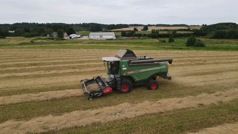 Selvom vejret ikke er optimalt, kører Fendt 6335'eren derudaf for at samle rajsvinglen op ved Haarby på Fyn. Foto: Alexander Dornwirth