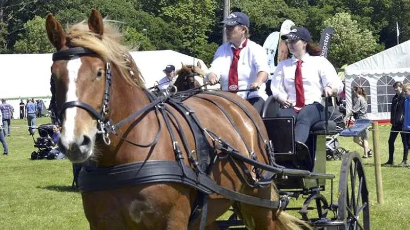 Lørdag den 16. juni er der dyrskue i Skive. MidtWest Farmshow afholdes for 13. gang.