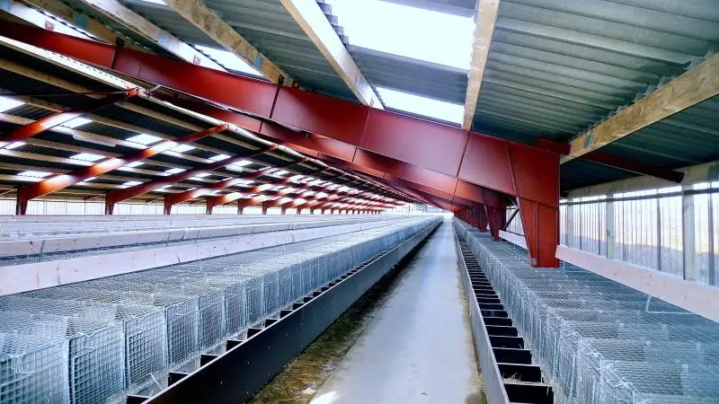 Minkavlerne rådes til at forsikre bygningerne, som var de i drift, og holde bygninger, inventar og maskiner i god og brugbar stand for at være sikker på at få den rigtige erstatning fra staten.