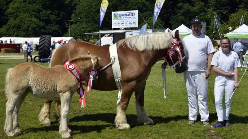Fra MidtWest Farmshow sidste år. Arkivfoto.