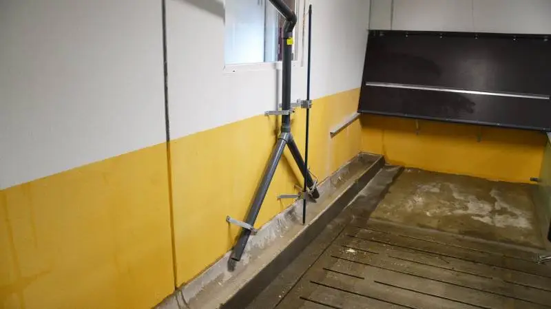 Det har ikke altid været nemt at få tilskud til staldmoderniseringer. Men nu forenkler Landbrugsstyrelsen reglerne. Arkivfoto.