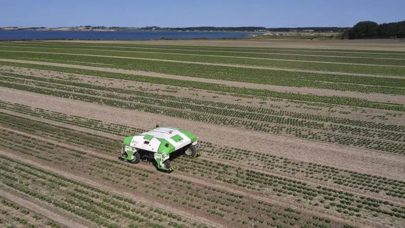 Den nye franskproducerede Naio Dino robot testes her på de økologiske arealer med salat på Agernæsgården ved Helnæs. Scan qr-koden og se den arbejde og vende for enden af marken helt ud til Aborg Bugt. Dronefoto og video: Per Jørgensen