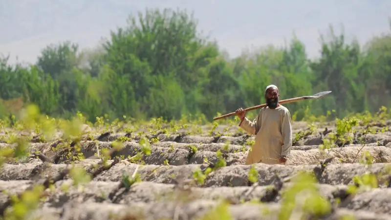 Det er barske klimavilkår, som afghanske landmænd står overfor, med en temperaturstigning der overskrider den globale. Foto: Wikimedia Commons