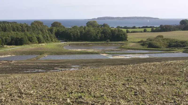 I de flotteste omgivelser kommer det naturligt udseende minivådområde ved Bøgebjerg på Hindsholm til at give landskabet en ekstra dimension. I baggrunden Romsø. Fotos: Erik Hansen