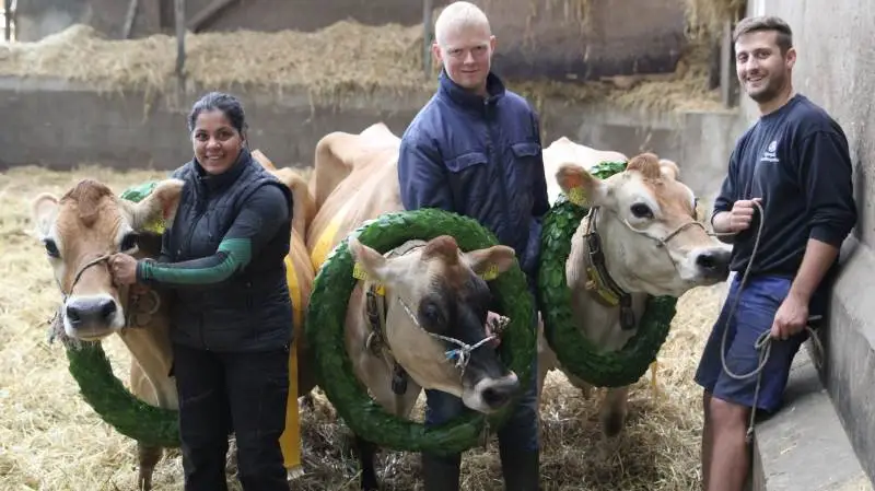 Disse tre jerseykøer på Juulsgaard har runder livsydelsen på de 10.000 kg fedt + protein, og har tilsammen bidraget med 36 levende kalve ud af 36 mulige, hvoraf 27 har været kviekalve. På fotoet ses fra venstre Rikke Vidhi Guldberg Gram, ejeren Niels Ulrik Andersen og Karsten Bennetzen Christensen. Foto: Henriette Lemvig
