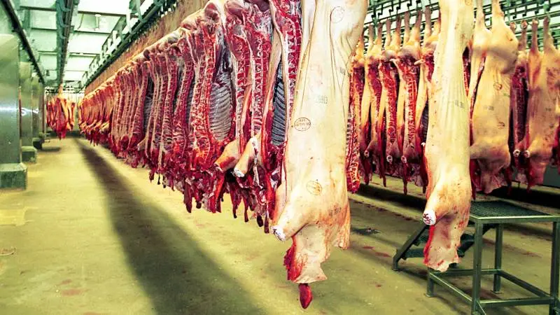 Ifølge mediet Finans har Danish Crown de seneste 12 måneder haft en indtjening pr. kilo svinekød, som har været hele 1,11 kroner højere end indtjeningen hos slagterierne i de øvrige store svineproducerende lande i Europa.