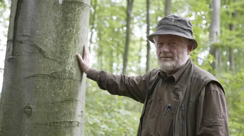 - Desværre er der gået stemmer i klima og natur, uden politikerne sætter sig dybere ind i den virkelige verden, siger Peder Dammand og ærgrer sig over, at 75.000 hektar statsskove måske skal omdannes til urørt skov. Foto: Erik Hansen