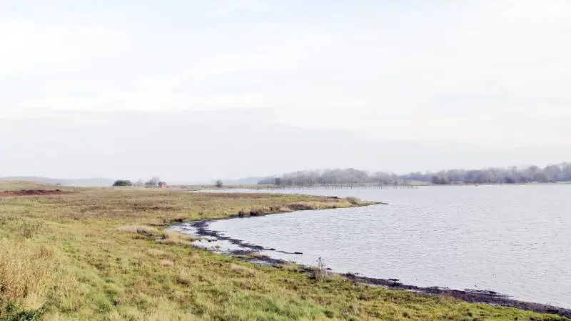 Ekstra statsmidler i landbrugsforliget til udtagning af lavbundsjorder er den vigtigste landvinding for Landbrug & Fødevarer.