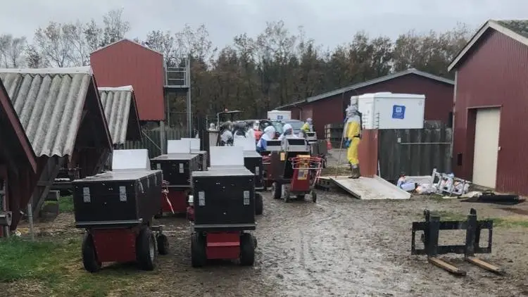 Fødevareministeriets udkast til bekendtgørelse for nedlukningserstatning til minkbranchen møder kritik for at være for uklart formuleret. Arkivfoto: Brian Langballe Kristensen