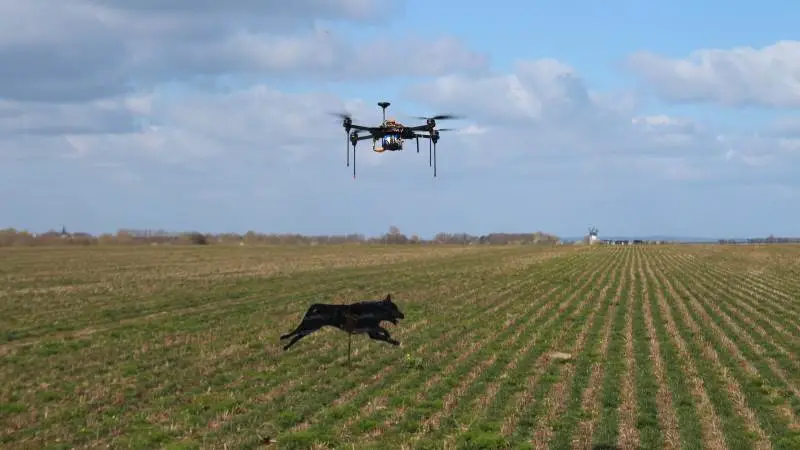 Iværksætterne bag tror selv på, at deres drone kan blive ved med at skræmme fuglene væk fra markerne.
